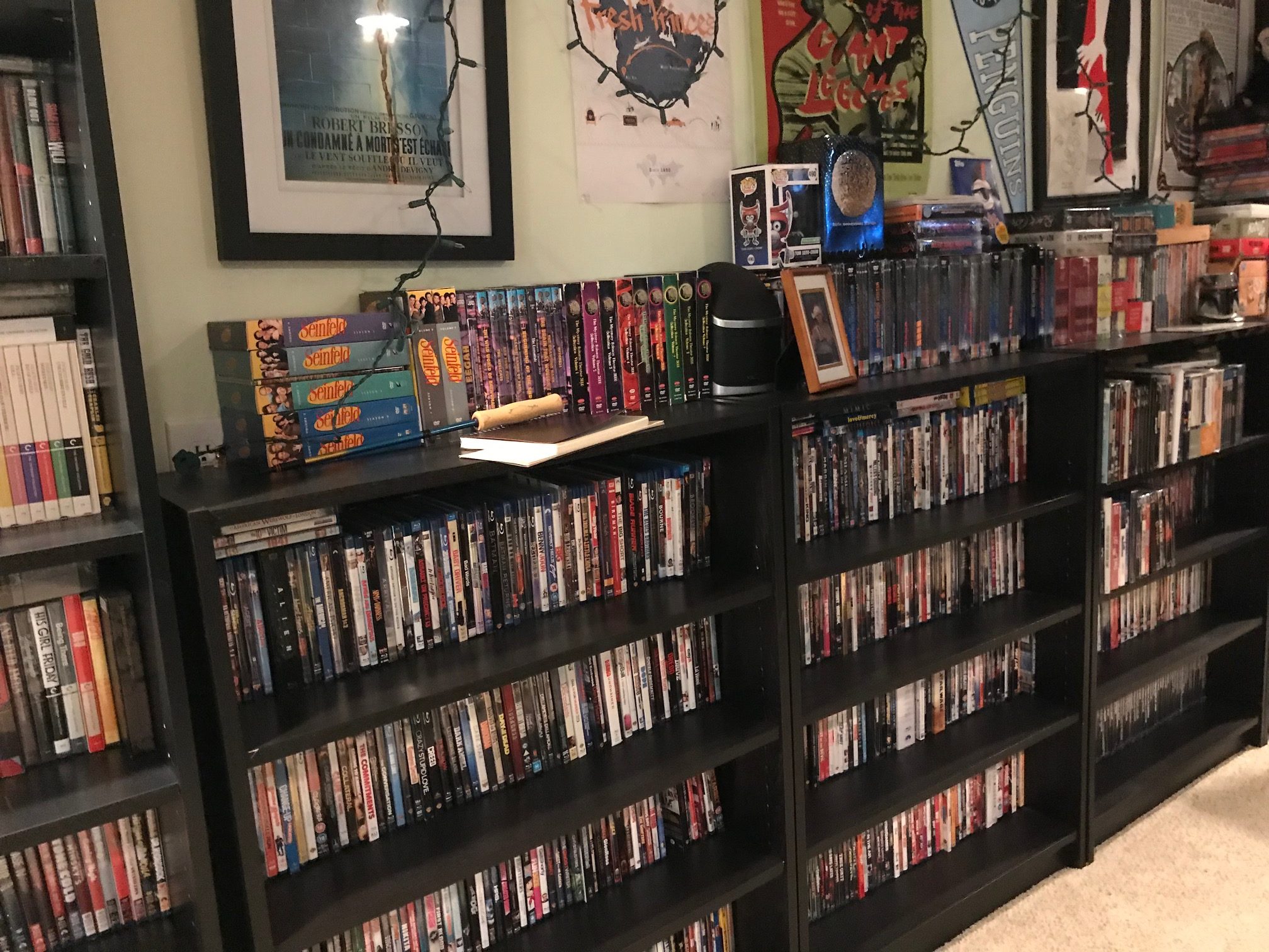 dvd library